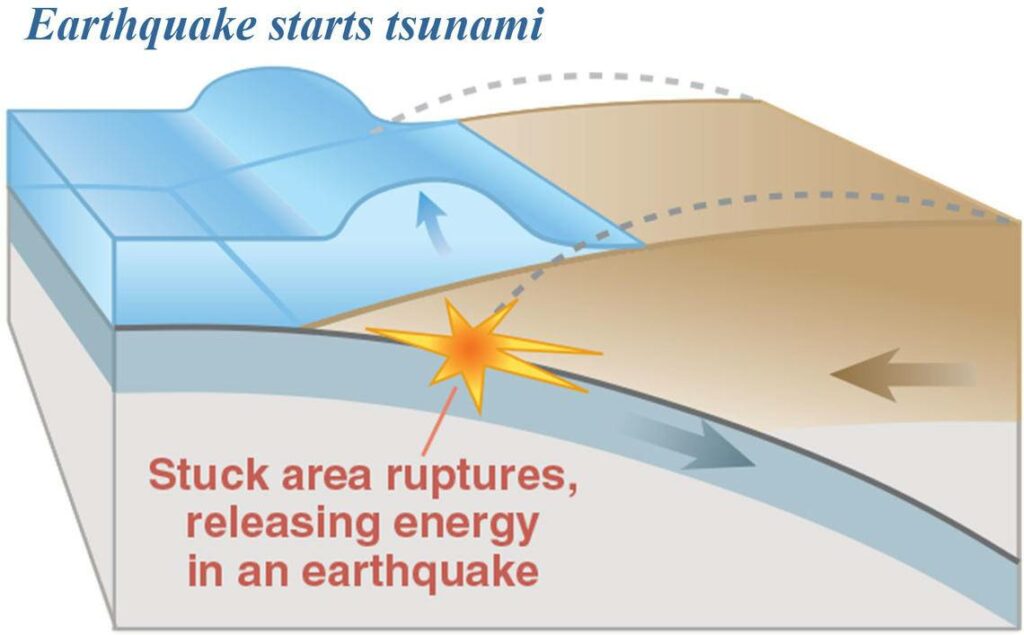 زلزله و تسونامی پر ناحیه فرورانش