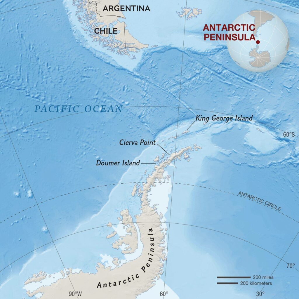 شبه جزیره جنوبگان
آلودگی کربن سیاه
